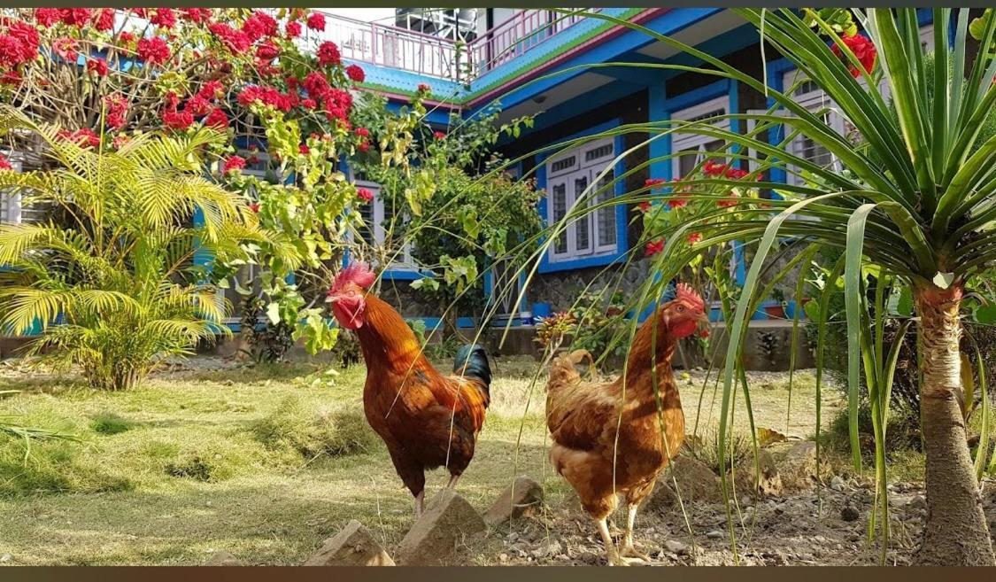 Robins Nest Hotel & Restaurant Deorali ภายนอก รูปภาพ